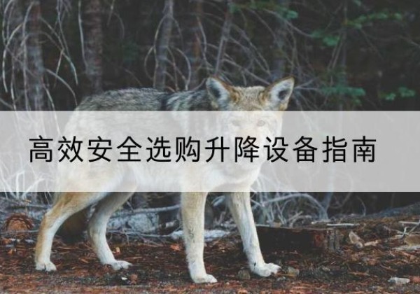 苏家屯升降货梯厂家推荐-*安全选购升降设备指南