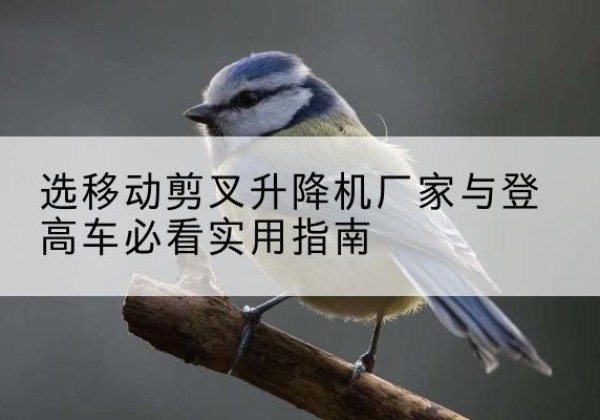 苏家屯电动升降机厂家-选移动剪叉升降机厂家与登高车必看实用指南