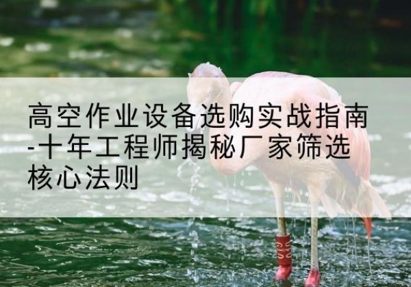 苏家屯剪叉式升降机厂家-高空作业设备选购实战指南-十年工程师揭秘厂家筛选核心法则